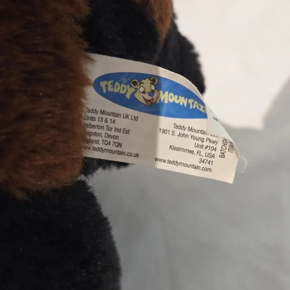 Teddy Mountain 
